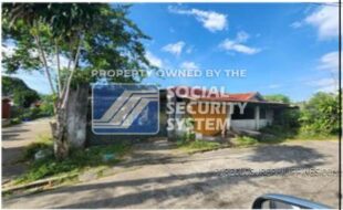 sss lot 9 block 14 paris st. sunshine valley subd