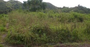 BFS Foreclosed Lot only at PARAGON VILLAGE