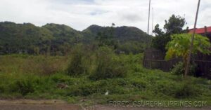 BFS Foreclosed Lot only at PARAGON VILLAGE