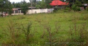 BFS Foreclosed Lot only at PARAGON VILLAGE