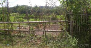 BFS Foreclosed Lot only at PARAGON VILLAGE