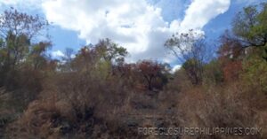 BFS Foreclosed Lot only at  Padapada - 0078226_pic001.jpg
