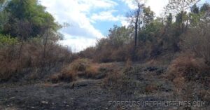 BFS Foreclosed Lot only at  Padapada - 0102682_pic001.jpg