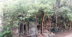 BFS Foreclosed Lot only at MT. VIEW VILLAGE