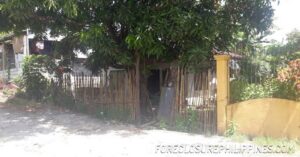 BFS Foreclosed House and Lot at ST. PAUL VILLAGE