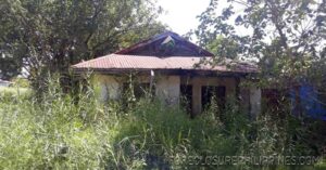 BFS Foreclosed House and Lot at SUBIC EXEC. VILLAGE