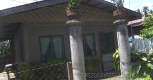 BFS Foreclosed House and Lot at MAKABAYAN VILLAGE