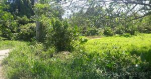 BFS Foreclosed Lot only at  Santa Catalina - 0283114_pic001.jpg