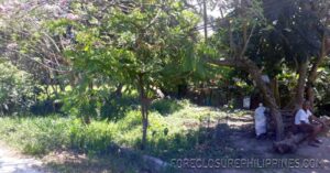 BFS Foreclosed Lot only at  Santa Catalina - 0283146_pic001.jpg