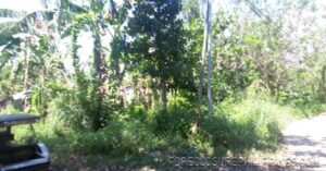 BFS Foreclosed Lot only at  Santa Catalina - 0283185_pic001.jpg