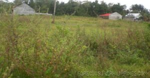 BFS Foreclosed Lot only at PARAGON VILLAGE