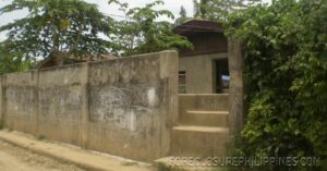BFS Foreclosed House and Lot at SCIONS EXEC. HOMES