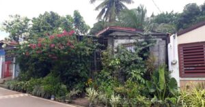 BFS Foreclosed House and Lot at MT. VIEW RESORT SUBD.