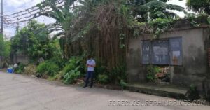BFS Foreclosed House and Lot at TBV