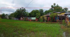 BFS Foreclosed House and Lot at TBV