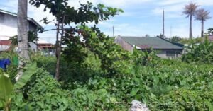 BFS Foreclosed Lot only at UNITED HOMES SUBD.