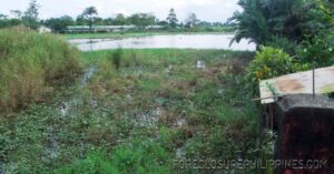 BFS Foreclosed Lot only at TBV