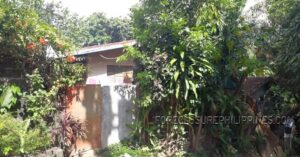 BFS Foreclosed House and Lot at ANTIPOLO HILLS SUBD.