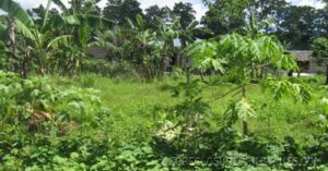 BFS Foreclosed Lot only at TAMARAW VILLAGE IV