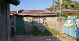 BFS Foreclosed House and Lot at MT. VIEW RESORT SUBD.