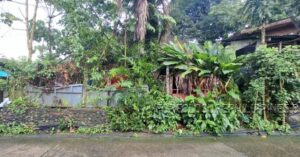 BFS Foreclosed House and Lot at SCIONS EXEC. HOMES