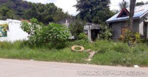 BFS Foreclosed House and Lot at STA. ELENA VILLAGE