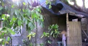 BFS Foreclosed House and Lot at NEGROS ECONOMIC DEV. FOUNDATION SUBD.