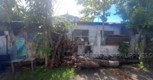BFS Foreclosed House and Lot at ROSARIO VILLAGE