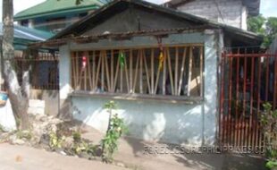 GEDSC DIGITAL CAMERA