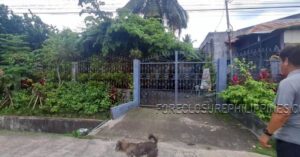 BFS Foreclosed House and Lot at BAYAN SUBD.