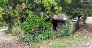 BFS Foreclosed House and Lot at PEOPLES VILLAGE III