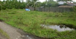BFS Foreclosed Lot only at JULVE SUBD.