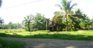 BFS Foreclosed Lot only at JULVE SUBD.