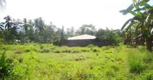 BFS Foreclosed Lot only at JULVE SUBD.