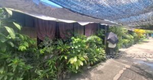 BFS Foreclosed House and Lot at SARANGANI HOMES