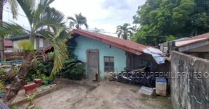 BFS Foreclosed House and Lot at CHRISTINE VILLAGE