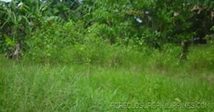 BFS Foreclosed Lot only at JULVE SUBD.