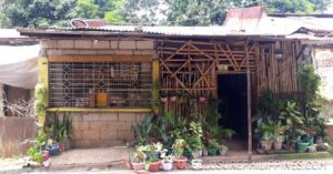 BFS Foreclosed House and Lot at MT. VIEW RESORT SUBD.