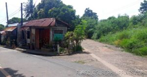 BFS Foreclosed House and Lot at MT. VIEW RESORT SUBD.