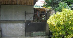 BFS Foreclosed House and Lot at RJP VILLAGE