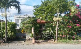 0 c a1 05002d04e03a86804e01040c30258   02384cad2184cc01f84c8d1d94cda1b156661c139501c94f401d155811d958271d1574c1d1593c