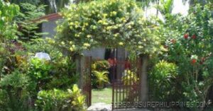 BFS Foreclosed House and Lot at LUVMI HOMES