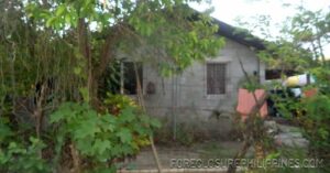 BFS Foreclosed House and Lot at NEGROS ECONOMIC DEV. FOUNDATION SUBD.