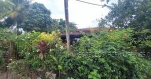 BFS Foreclosed House and Lot at ROCA SUBD.