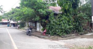 BFS Foreclosed House and Lot at MT. VIEW RESORT SUBD.