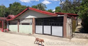 BFS Foreclosed House and Lot at MOUNTAINVIEW VILLAGE