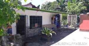 BFS Foreclosed House and Lot at MOUNTAINVIEW VILLAGE