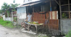 BFS Foreclosed House and Lot at GENSANVILLE SUBD.