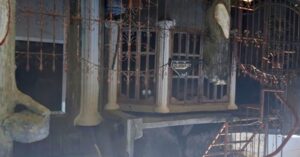 BFS Foreclosed House and Lot at C.C.C. VILLA HERMOSA SUBD.