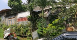 BFS Foreclosed House and Lot at ANTIPOLO HILLS SUBD.